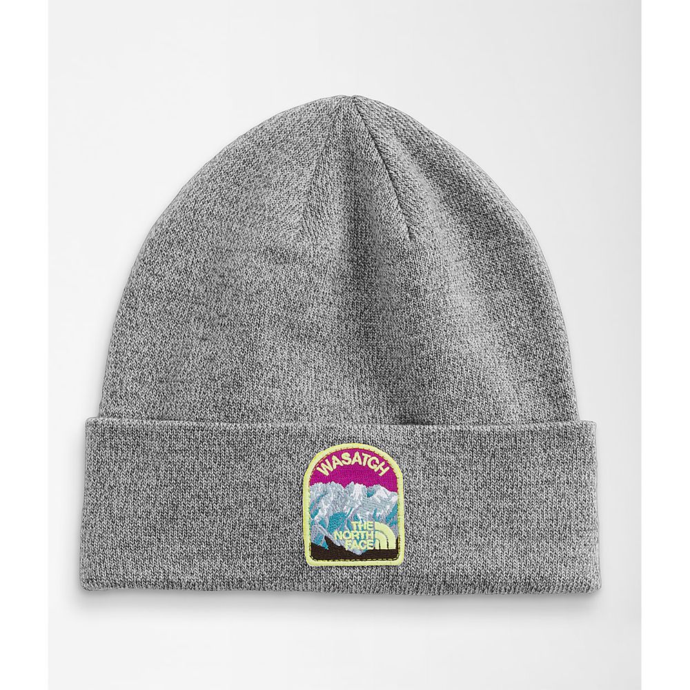 The North Face Caps Womens Australia - The North Face Embroidered Earthscape Grey (PTJ-718596)